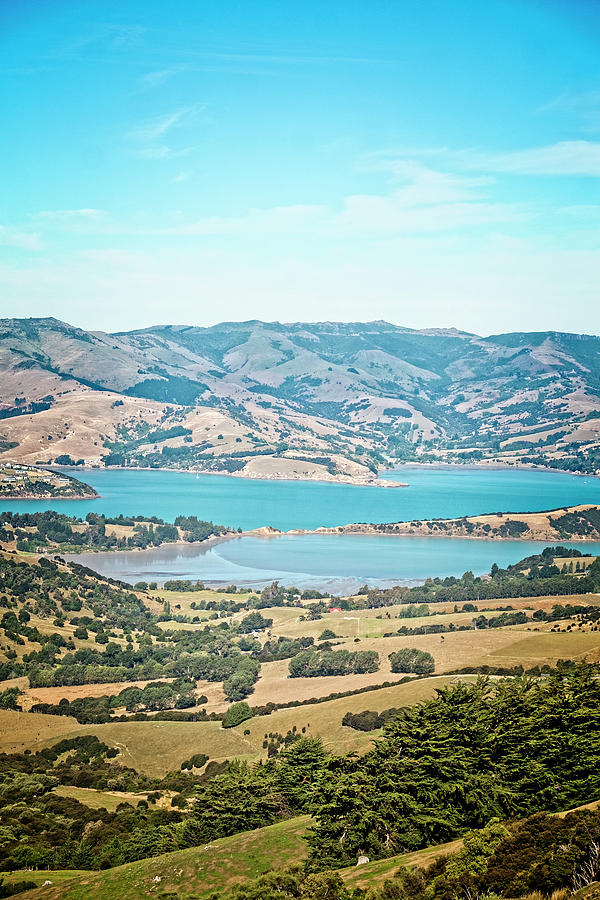 Akaroa View Photograph by Catherine Reading