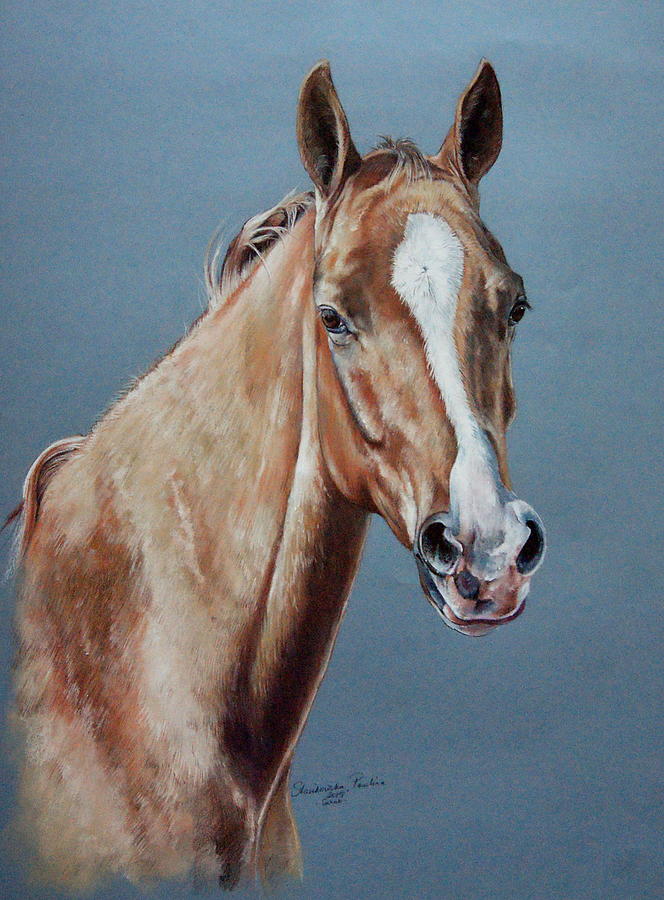 Akhal-teke Horse Drawing by Paulina Stasikowska