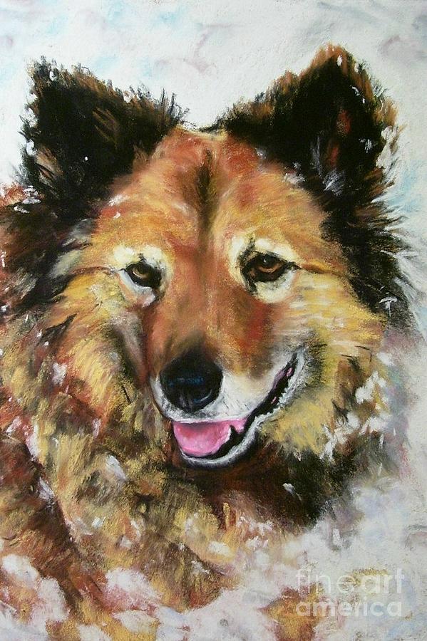 Dog Painting - Akia by Frances Marino