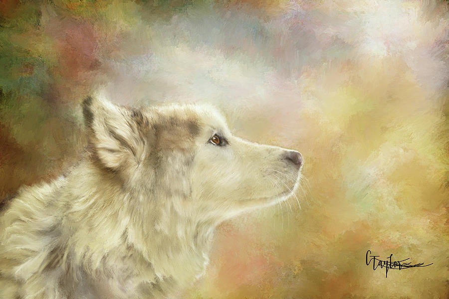 Akira, the Alaskan Malamute Mixed Media by Colleen Taylor