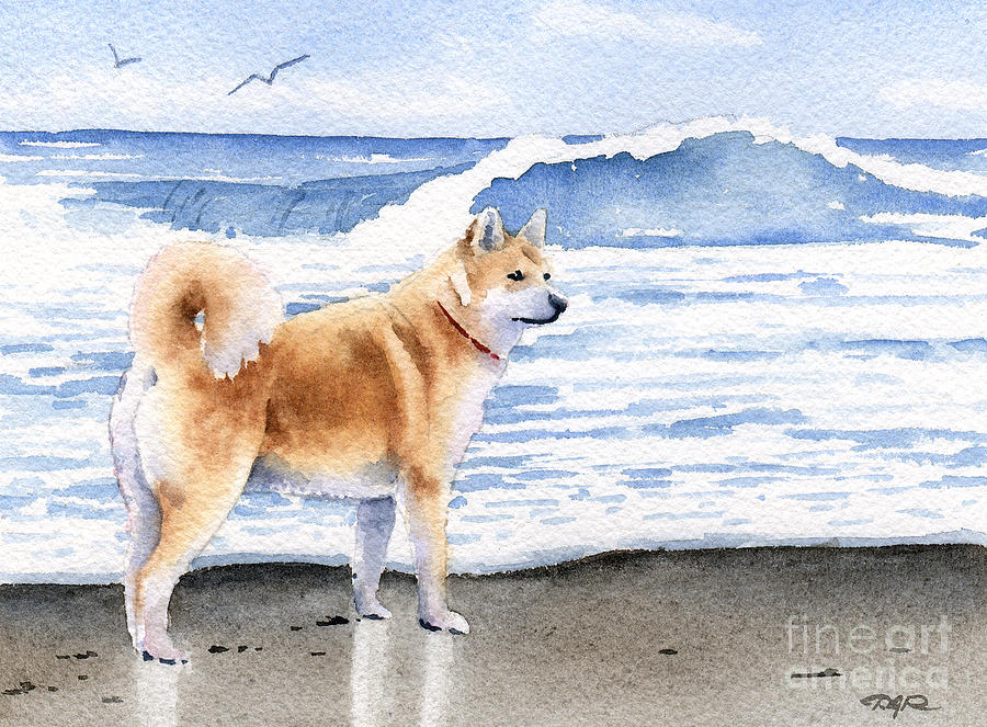 Beach Painting - Akita At The Beach by David Rogers