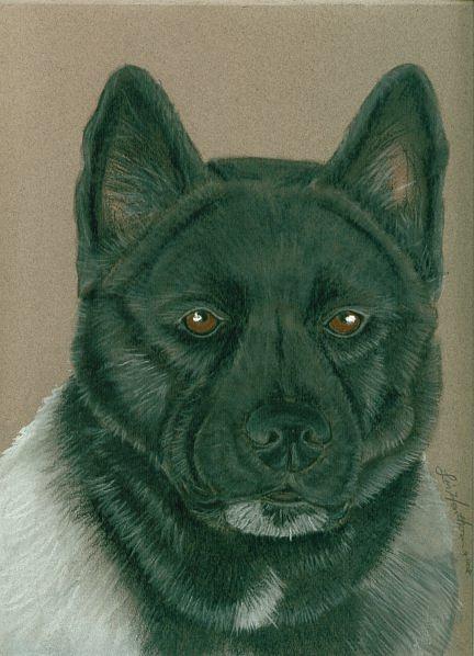 Native American Art Akita Japanese Akita Art Pencil Drawing Print A4 Signed By Artist