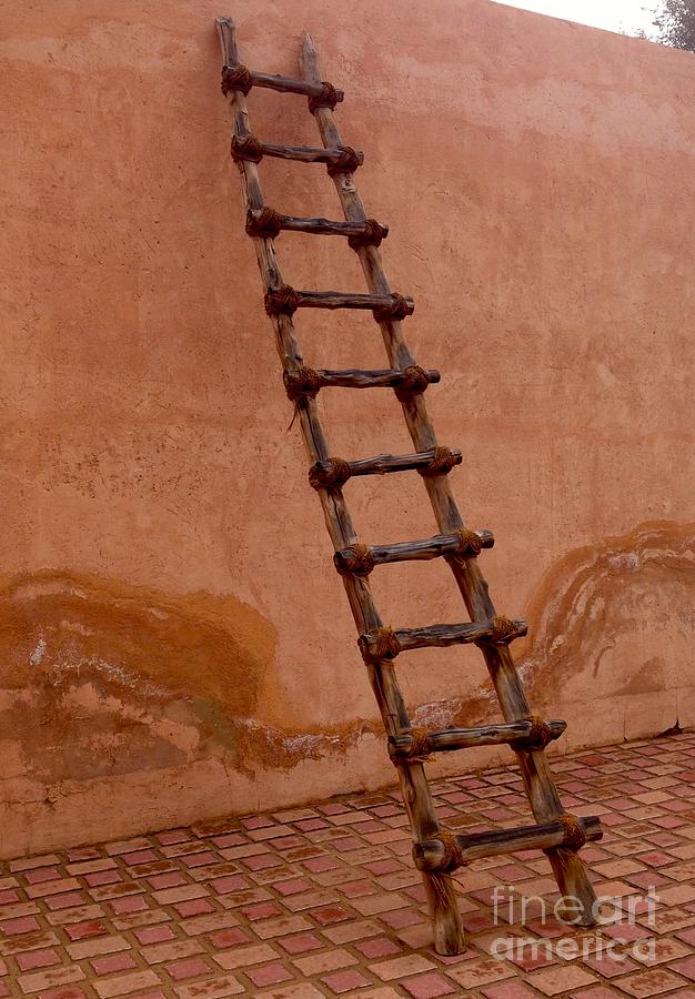 Al Ain Ladder Photograph by Barbara Von Pagel