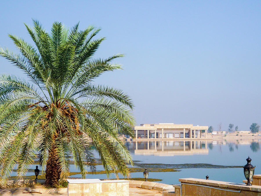Al Faw Palace Palm Photograph by SR Green