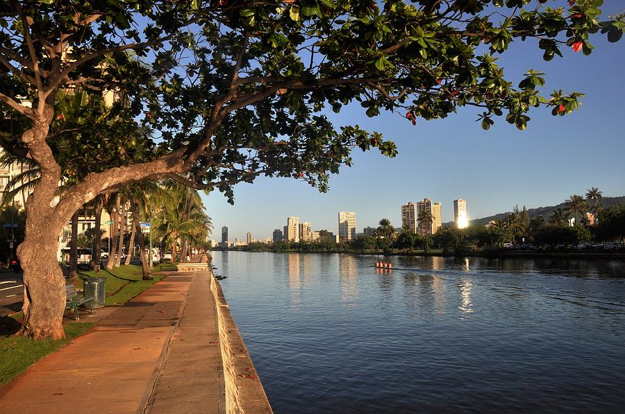 Ala Wai Trail Photograph by Andrew Dinh