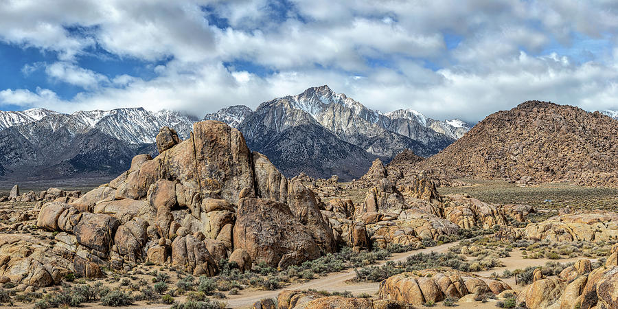 Alabama Hills and the Sierra Photograph by Peter Tellone