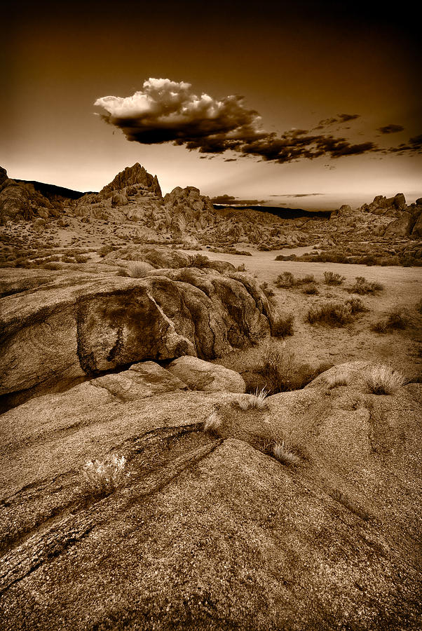 Desert Photograph - Alabama Hills California B W by Steve Gadomski