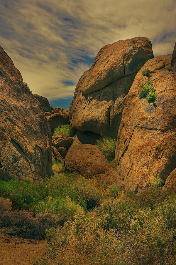 Alabama Hills - Eastern Sierras - Two Photograph by Roland Peachie - Pixels