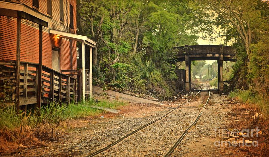 Alabama Wacky Tracks Photograph by Ron Long
