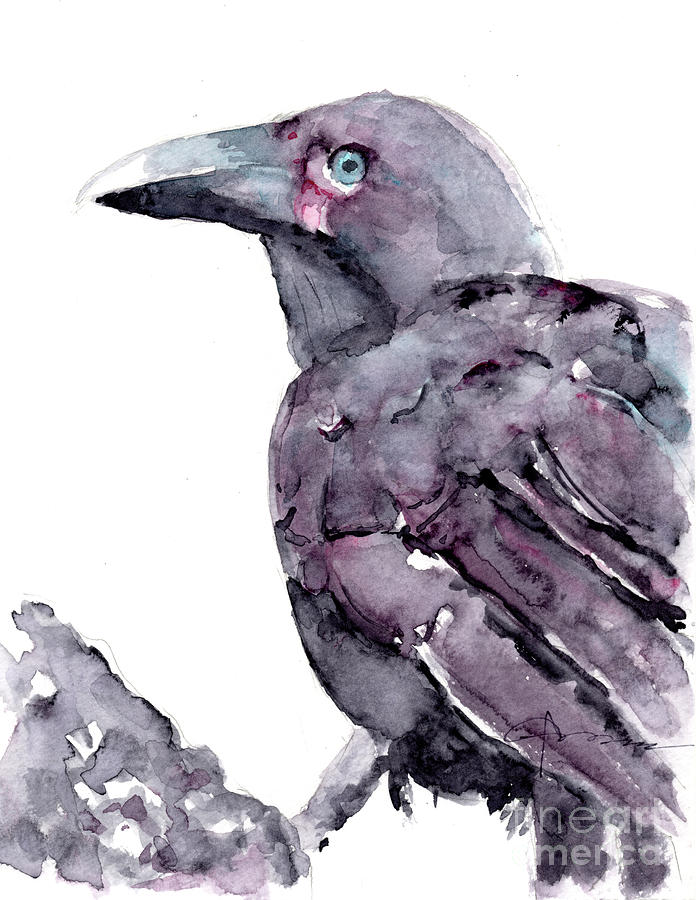 Alala - Hawaiian Crow Painting by Claudia Hafner