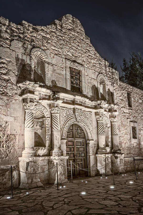 Alamo Door Photograph by Joan Carroll