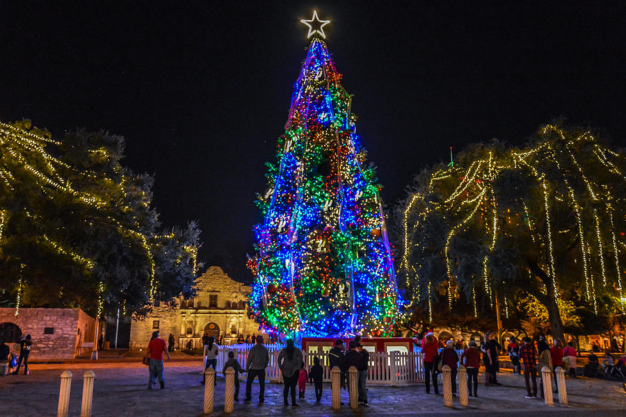 Alamo Holiday Tree Pyrography by David Meznarich