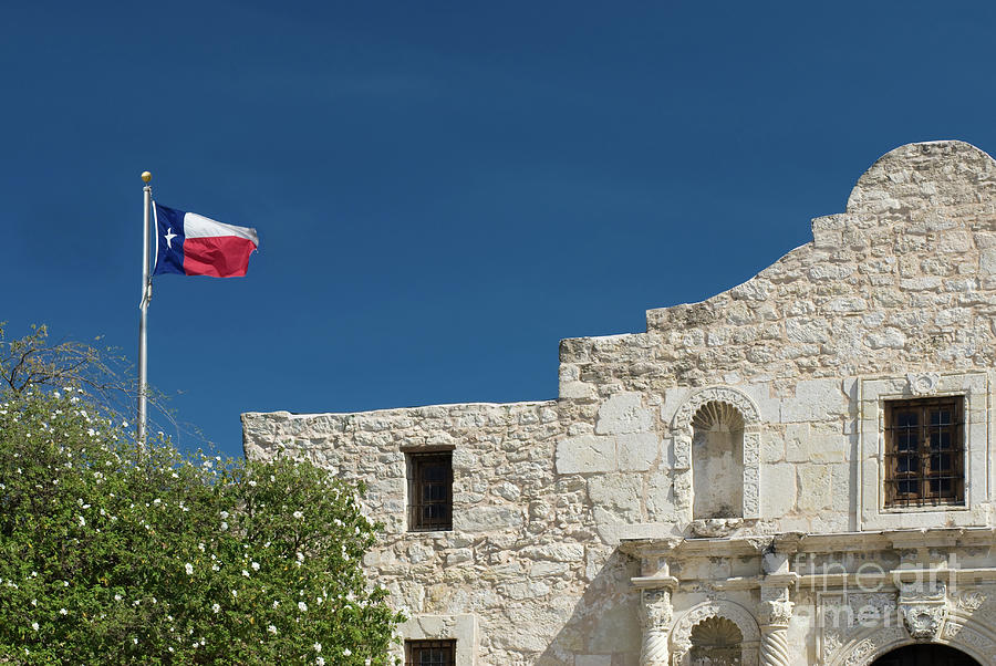 Alamo in San Antonio Texas Photograph by Anthony Totah