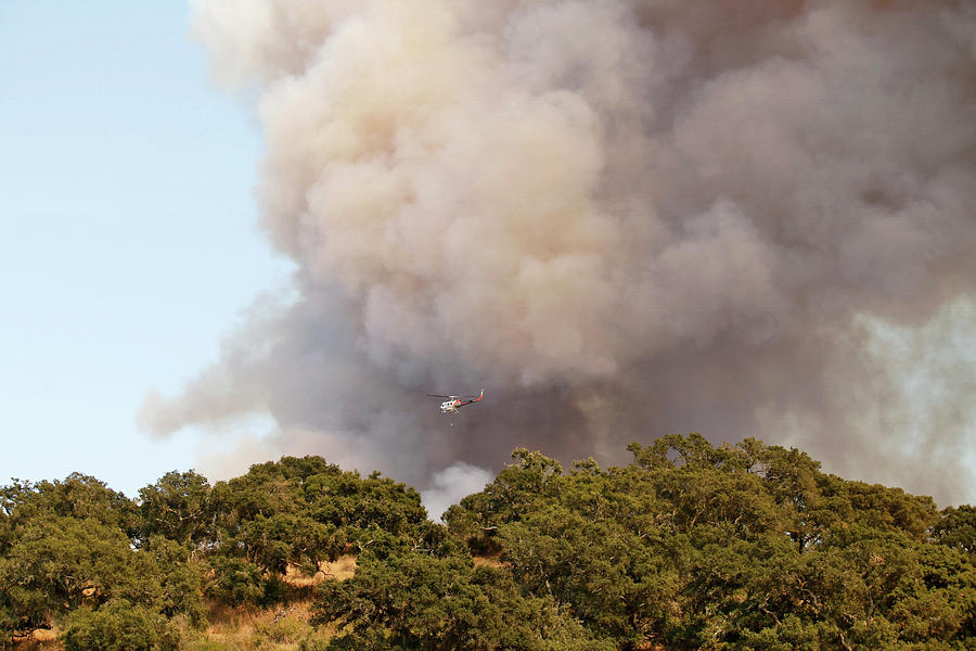 Alamo Wildfire in California Photograph by Art Block Collections