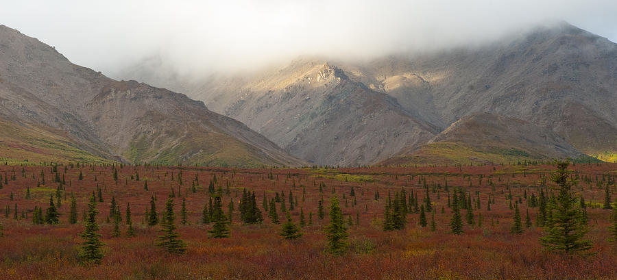 Alaska Autumn 477 Photograph by David Drew