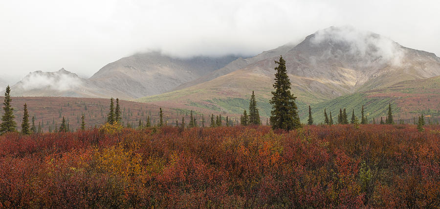 Alaska Autumn 87 Photograph by David Drew