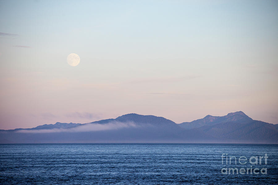 Alaska Coast Photograph by Timothy Johnson