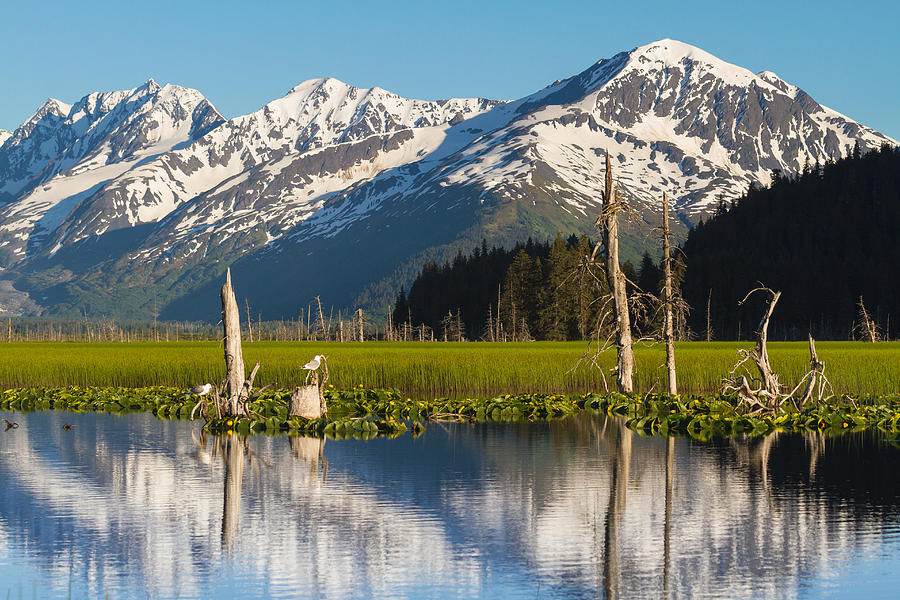 Alaska Coastal Landscape Photograph by Scott Slone