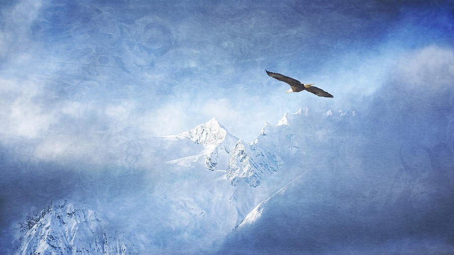 Alaska Dreaming Photograph by Michele Cornelius