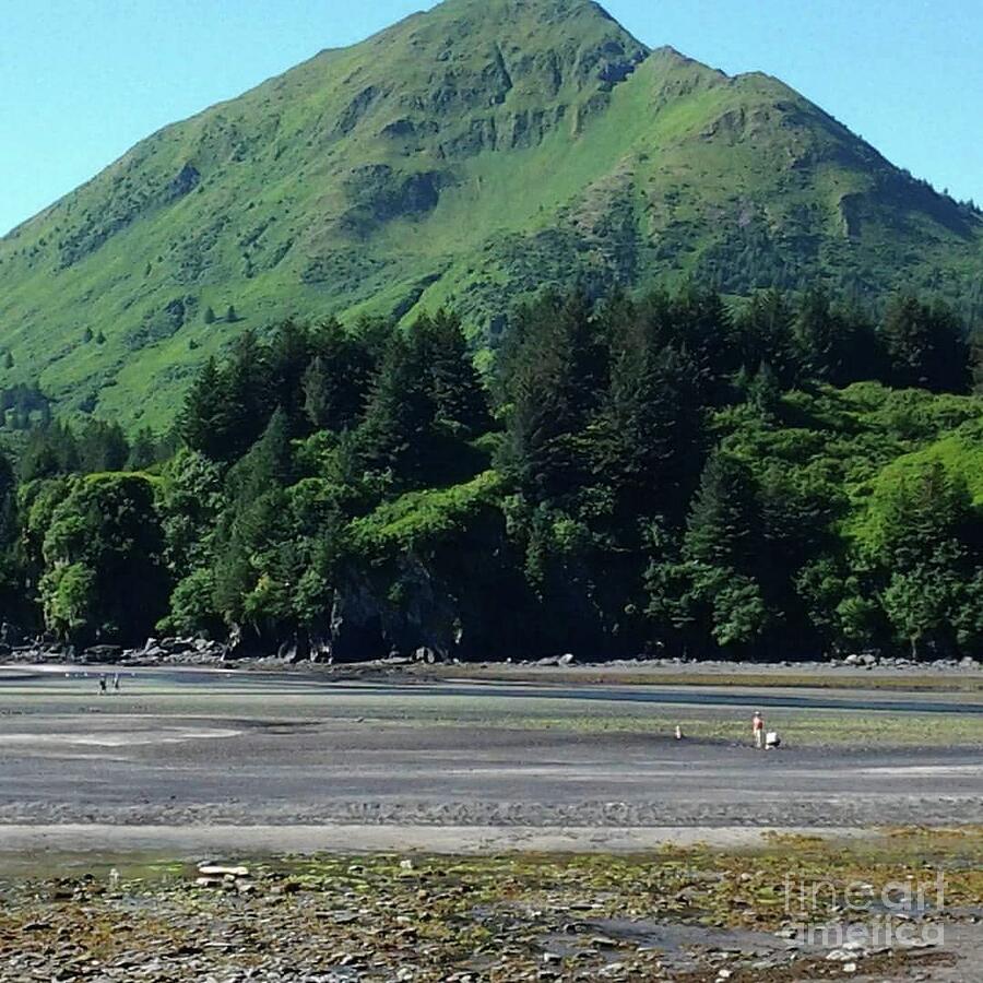 Alaska Green Photograph by Sandra Harrison - Fine Art America