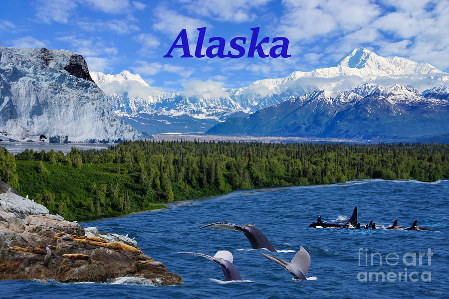 Alaska Photograph by Jennifer White