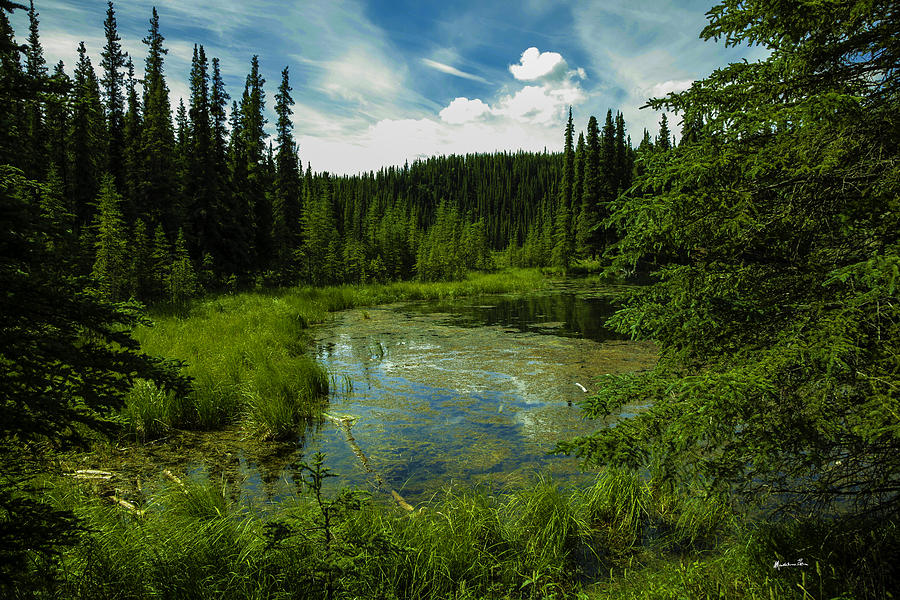 Alaska Landscape Photograph by Madeline Ellis