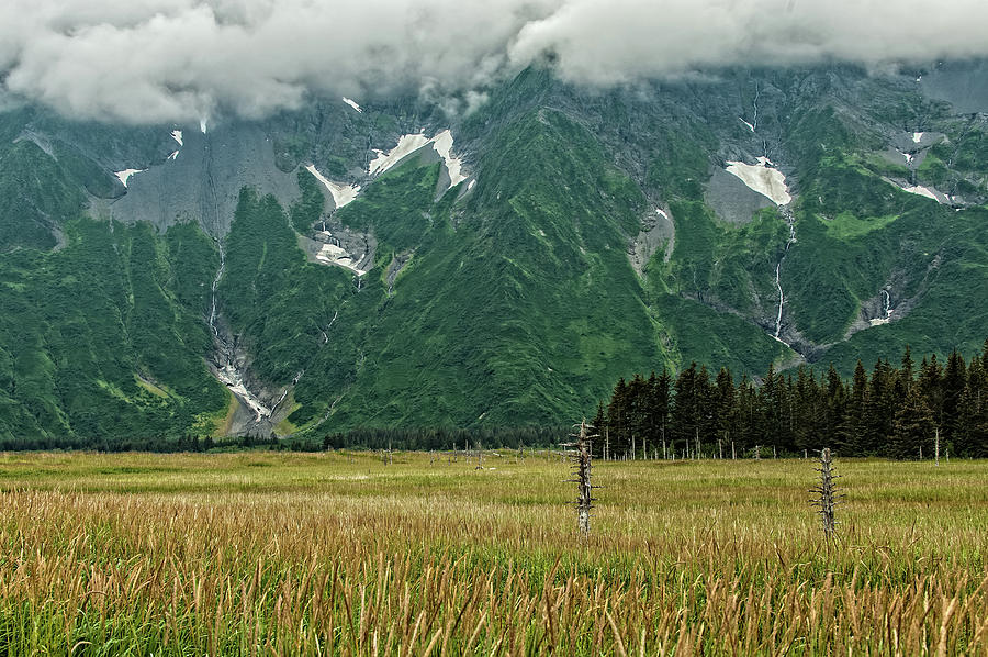 Alaska Last Frontier Photograph by George Buxbaum