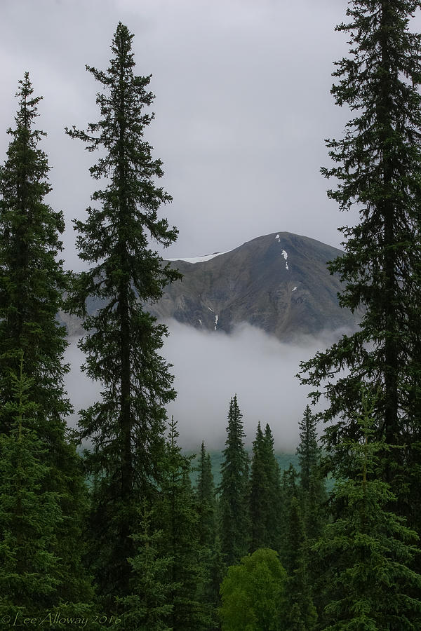 Alaska Photograph by Lee Alloway