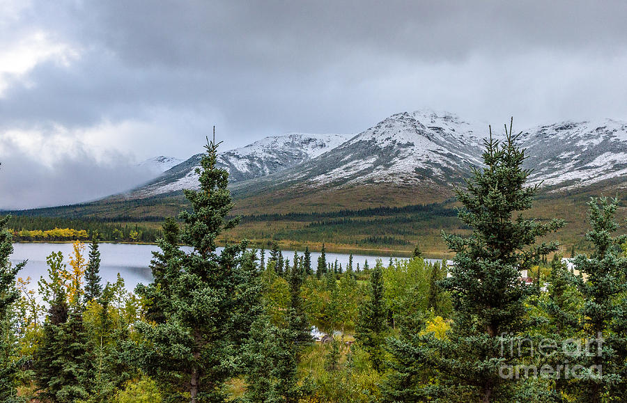 Alaska Mountain Range View Photograph by Mary Carol Story