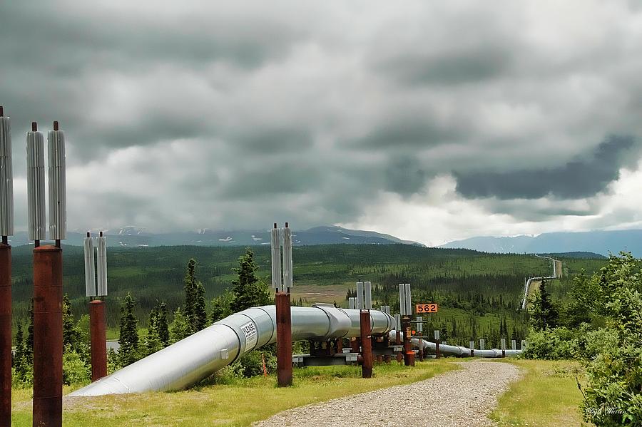 Alaska Pipeline Photograph by Dyle   Warren