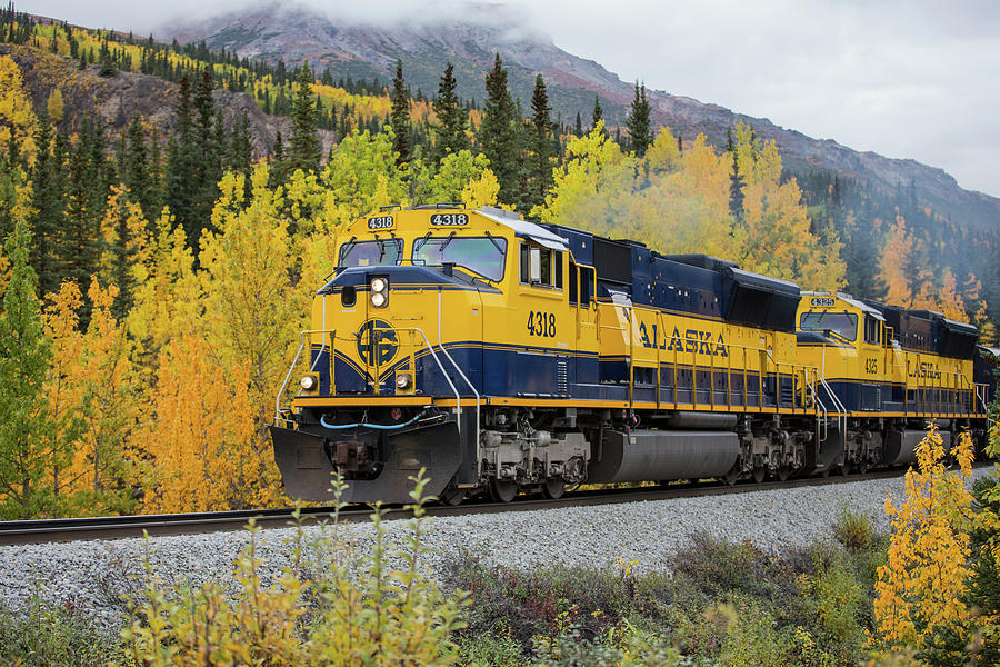 Alaska Railroad Photograph by Sam Amato
