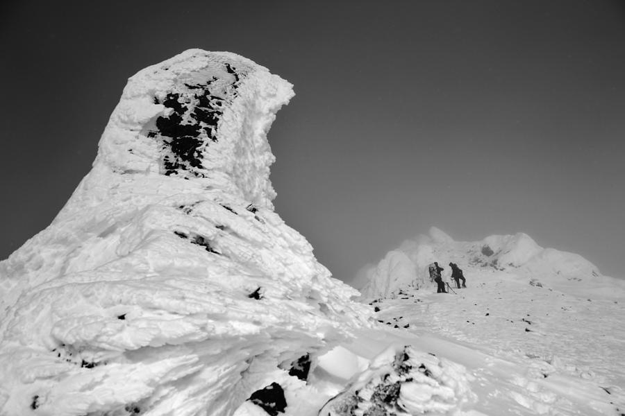 Alaska Range Alpine Stone Pillars Photograph