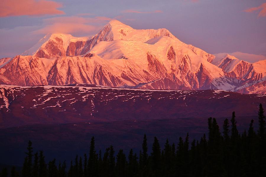 Alaska Range Morning Mountain Glow by David Broome