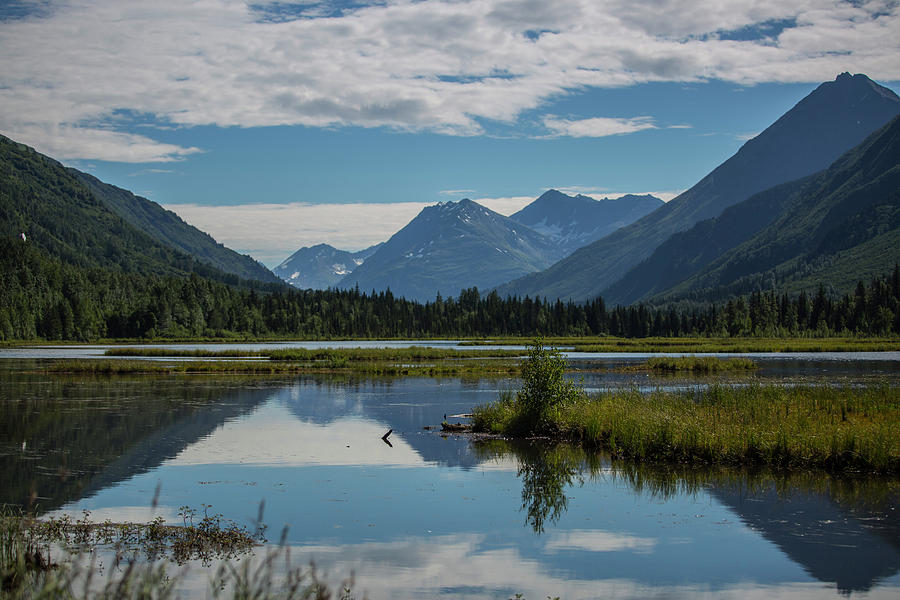 Nature Photograph - Alaska Reflection by Ty Helbach