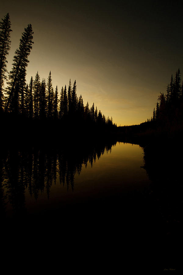 ALASKA River Silhouettes 2 Photograph by Julian Wicksteed