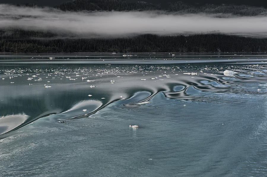 Alaskan Sea Scape Two #1 Photograph by Gary Warnimont