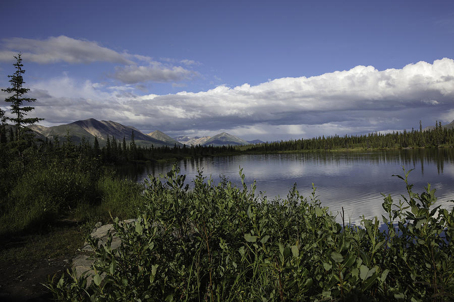 Alaska The Beautiful 1 Photograph by Madeline Ellis