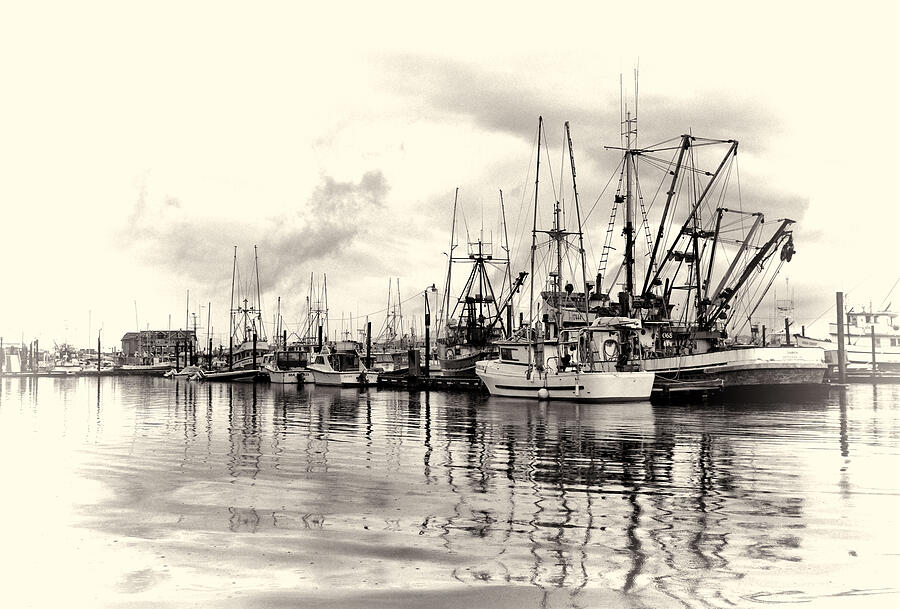 Ketchikan Harbor 2 Photograph by Marilyn Wilson