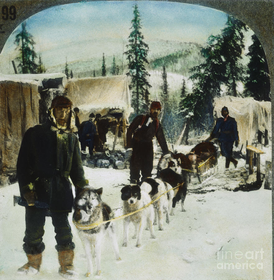ALASKAN DOG SLED, c1900 Painting by Granger