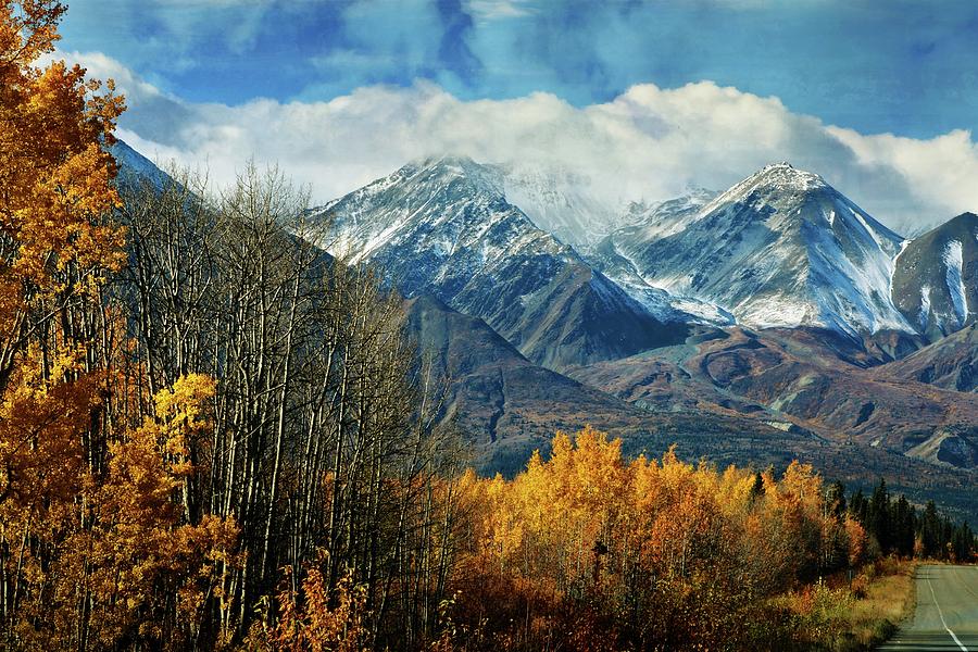Alaskan Fall 1 Photograph by Marty Koch