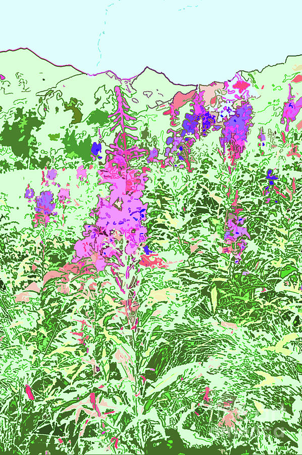 Alaskan Fireweed 6 Digital Art By Chris Taggart Pixels