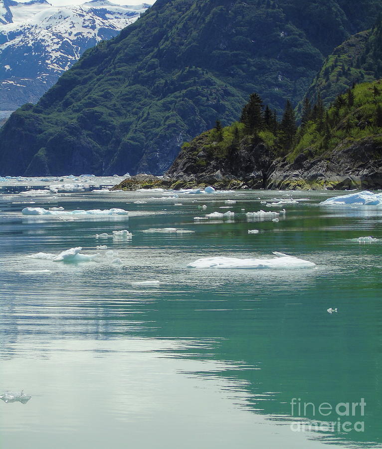 Alaskan Fjord Icy Waters Photograph