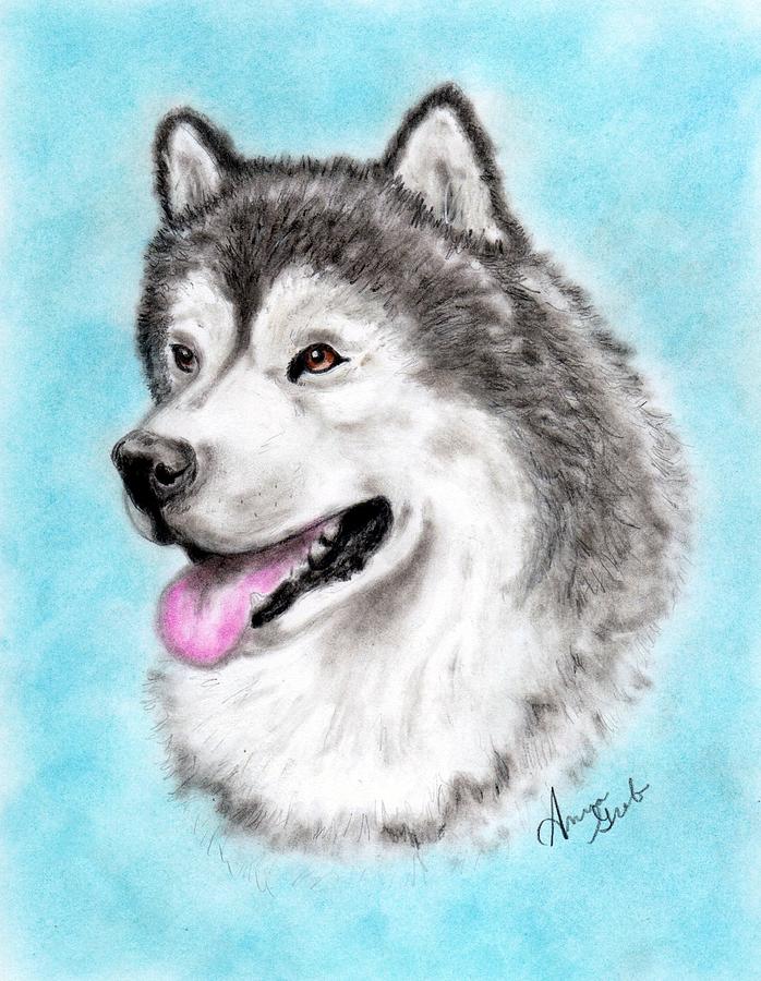 Alaskan Malamute Face Pastel by Anna Grob - Pixels