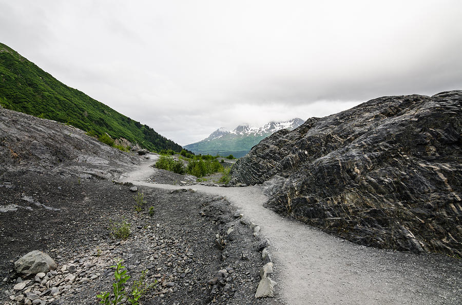 Alaskan Peaks Photograph by Margaret Pitcher