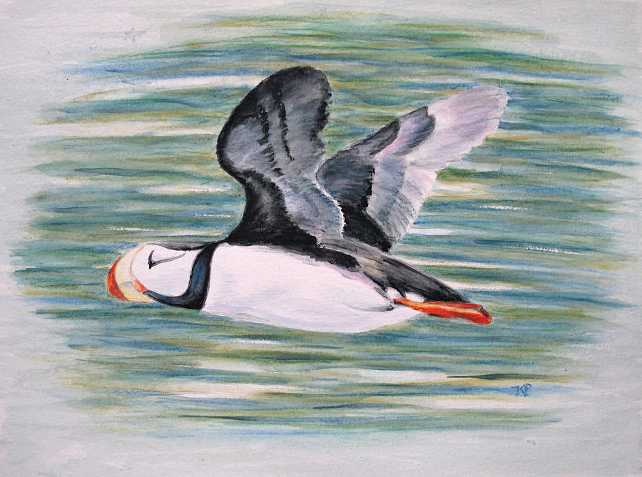 Puffin Painting - Alaskan Puffin by Karen Peterson