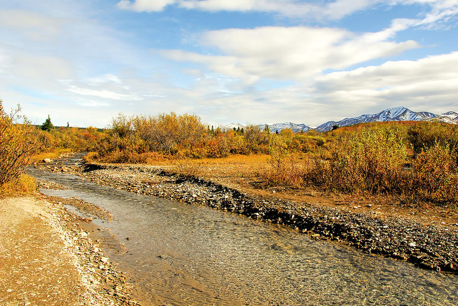 Fall Photograph - Alaskan Stream in Autumn by Phyllis Taylor