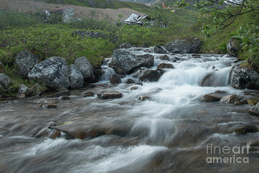 Nature Photograph - Alaskan Stream by Paul Quinn