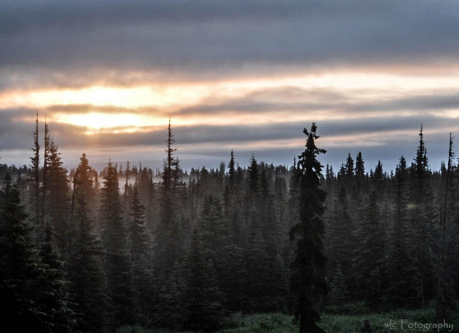 Alaskan Sunset Sunrise Photograph by Wendy Carrington