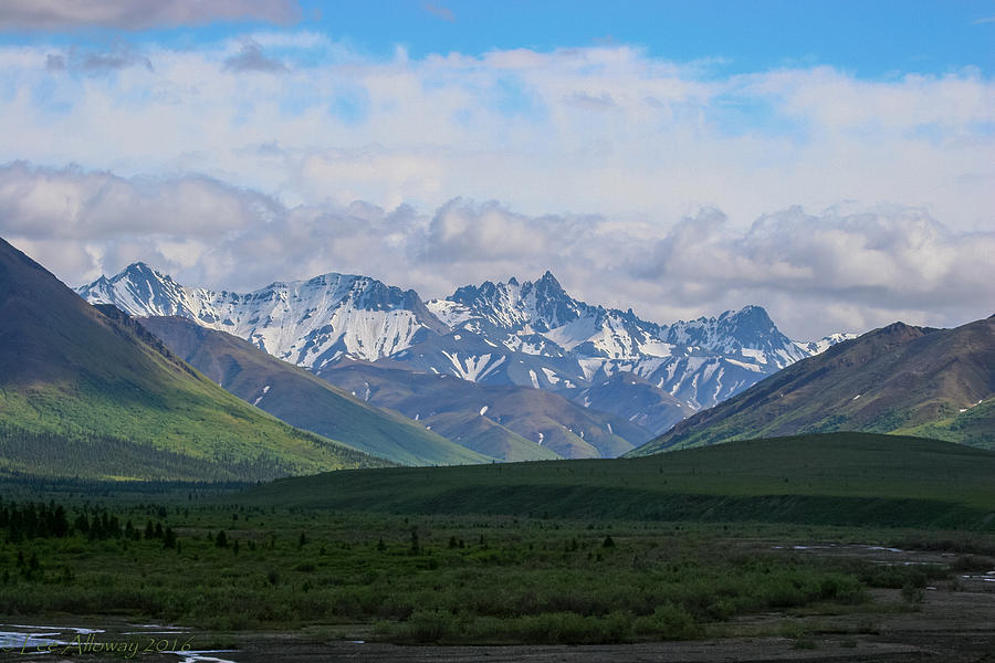 Alaskan Vista Photograph by Lee Alloway