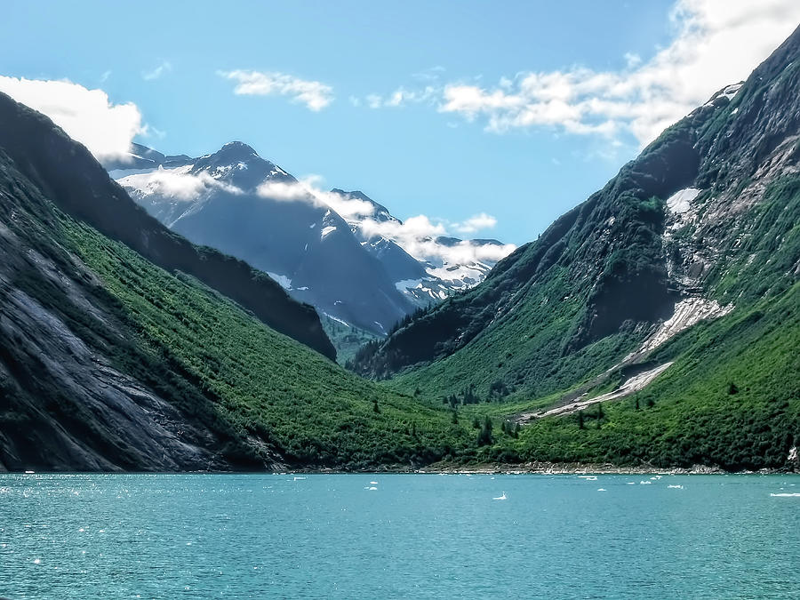 Alaska's Inside Passage Photograph by Kay Brewer